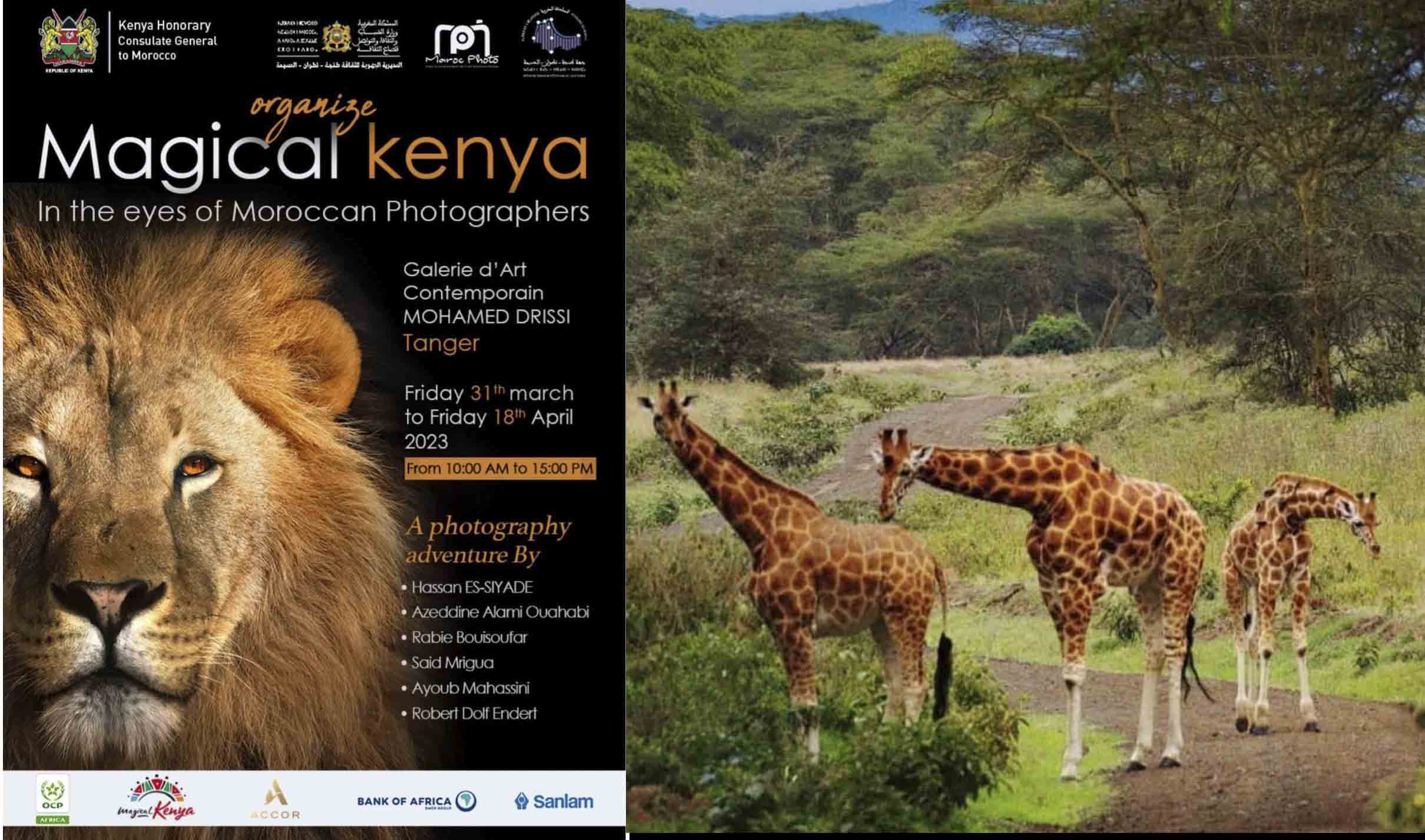 “كينيا الساحرة بعيون مغربية”